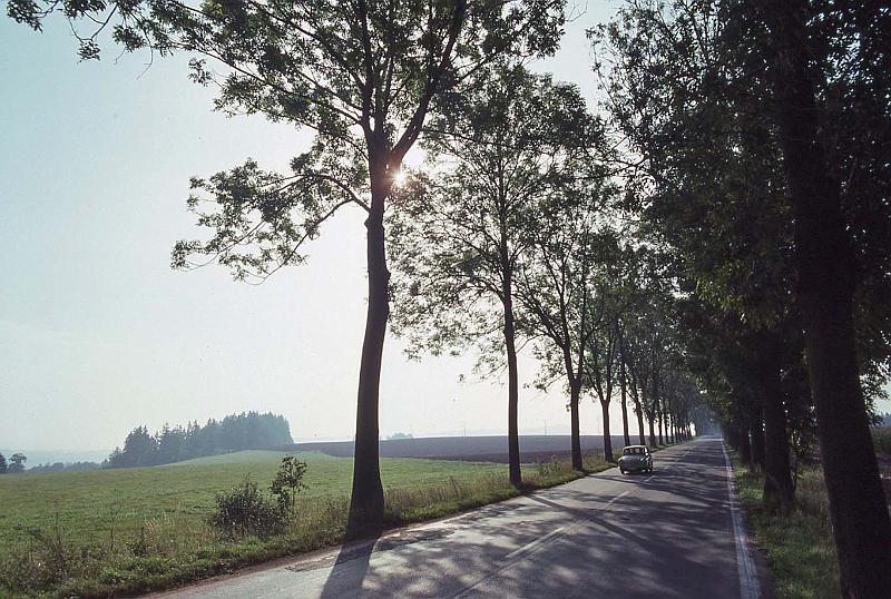 WT 4100 382-04 Czech Rep.jpg